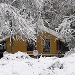 Orman Evi рибарник Forest мagic Topolitsa