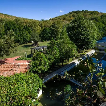 рибарник Forest мagic Topolitsa