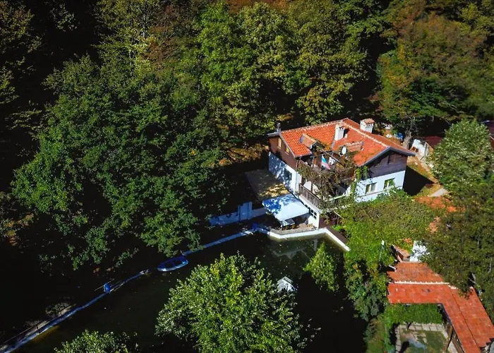 рибарник Forest мagic