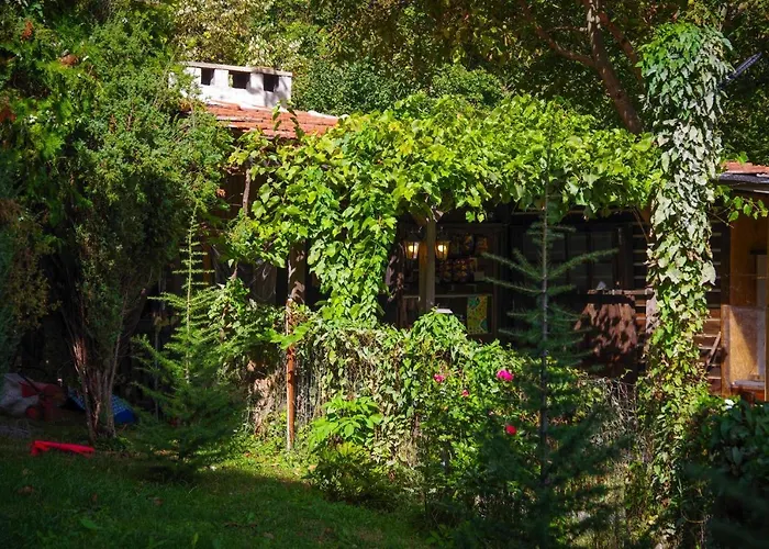 рибарник Forest мagic *