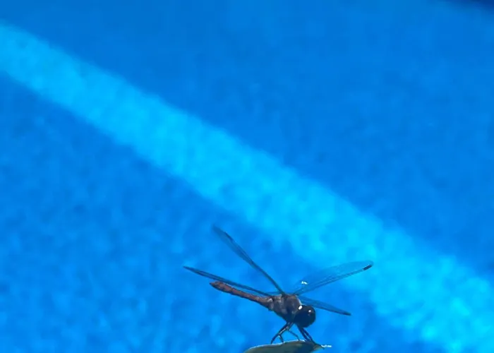 рибарник Forest мagic Деревянный коттедж