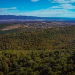 рибарник Forest мagic *