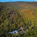 рибарник Forest мagic