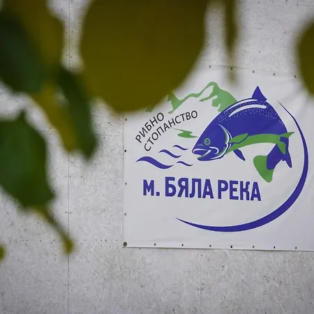 рибарник Forest мagic *