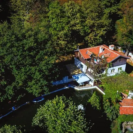 рибарник Forest мagic