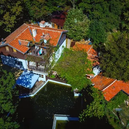 рибарник Forest мagic Alojamento de Turismo Selvagem Topolitsa