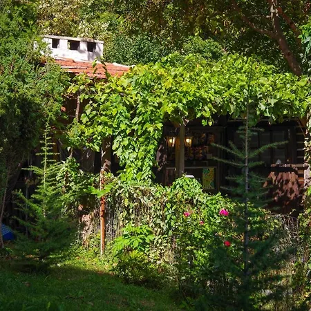 рибарник Forest мagic *