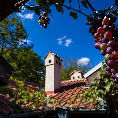 рибарник Forest мagic Alojamento de Turismo Selvagem Topolitsa