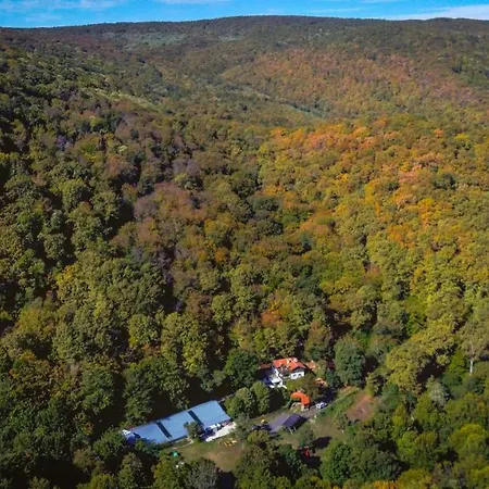 рибарник Forest мagic