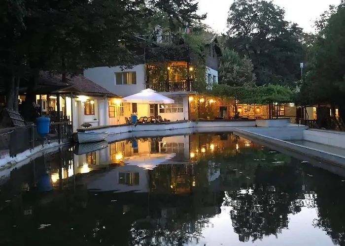 Chata рибарник Forest мagic Topolitsa