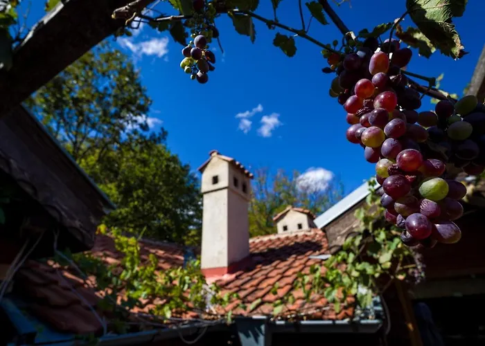 рибарник Forest мagic Chata Topolitsa