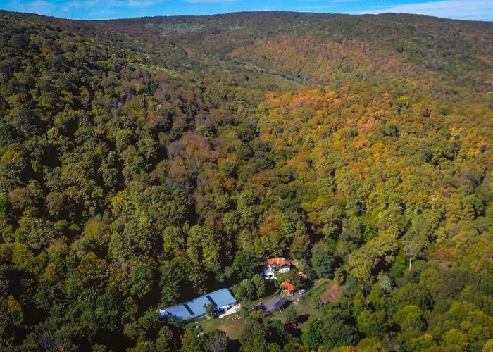 рибарник Forest мagic