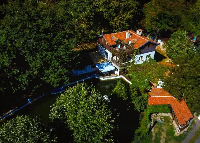 рибарник Forest мagic